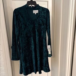 Green Velvet Long Sleeve Dress